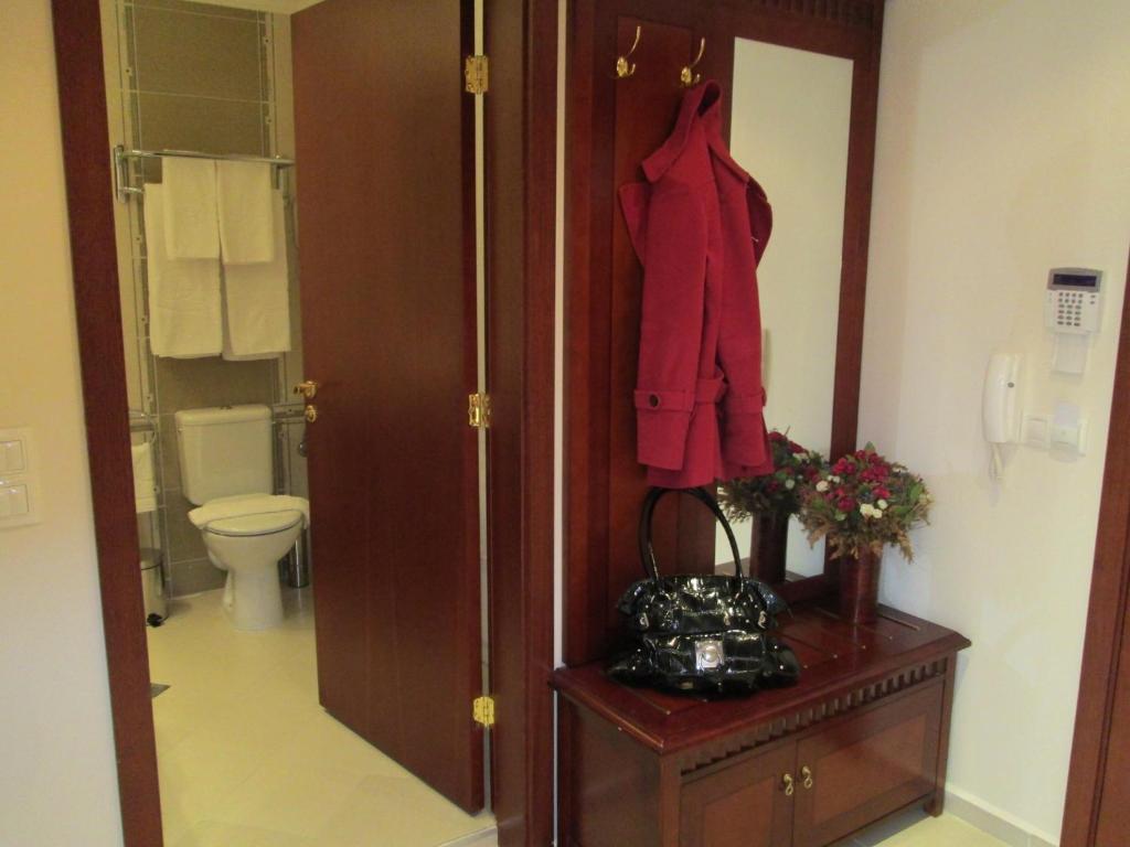 Downtown Alexander Services Apartments Bansko Rum bild