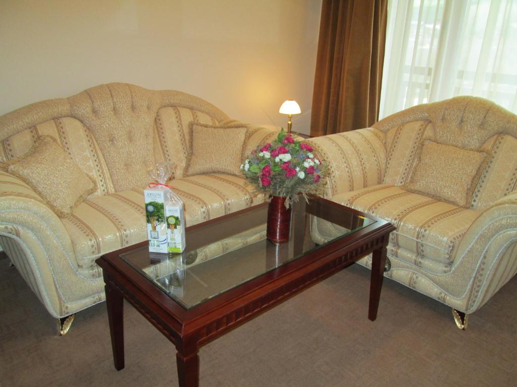 Downtown Alexander Services Apartments Bansko Rum bild