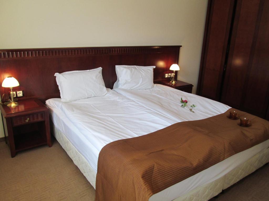 Downtown Alexander Services Apartments Bansko Rum bild