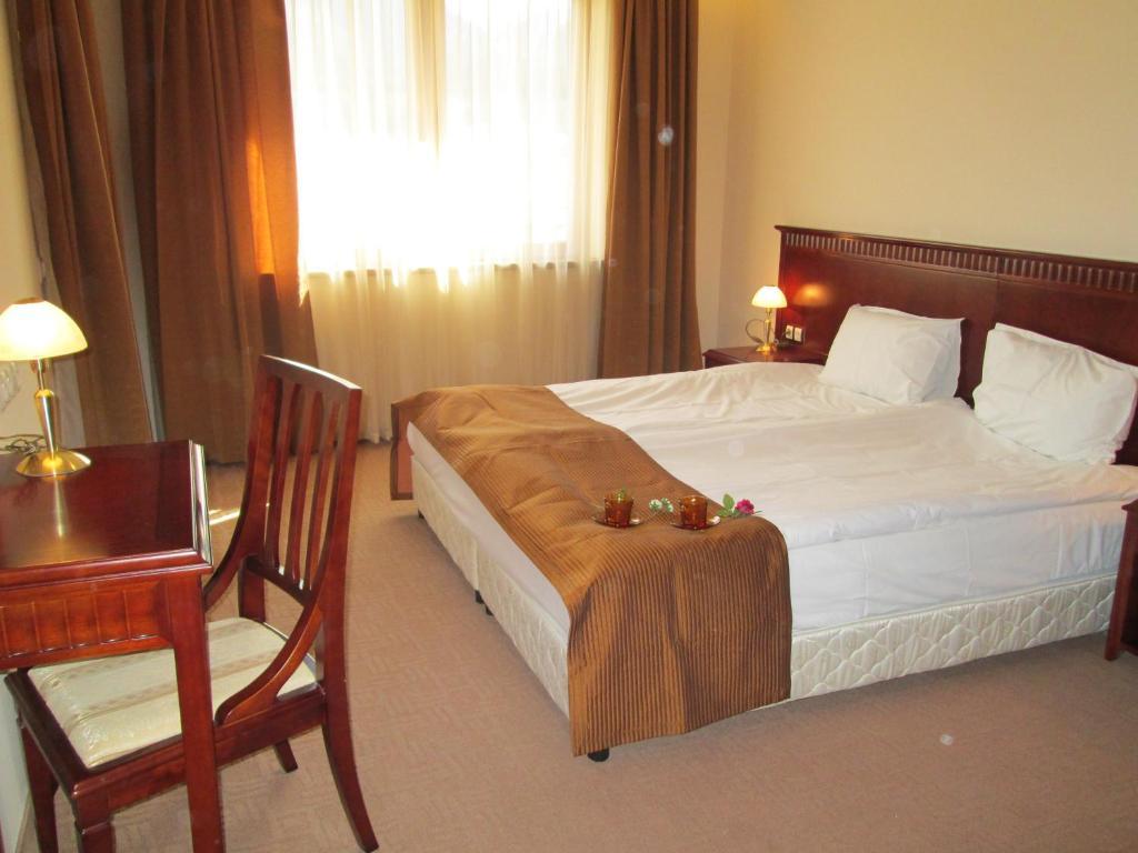 Downtown Alexander Services Apartments Bansko Rum bild